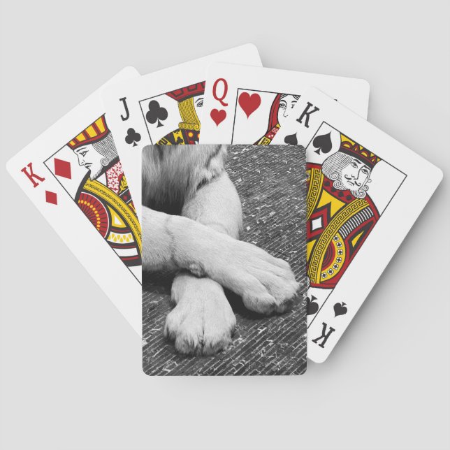 Tass Casinokort (Baksidan)