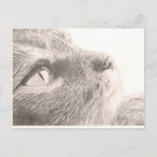 Tass för tankeutbyte vykort