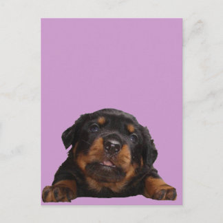 Tass för tankeutbyte vykort