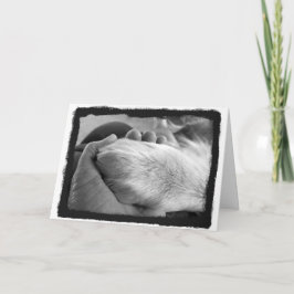 Tass i handkort kort