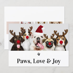 Tass Kärlek och Joy Hund jul 5-foto Inbjudningar