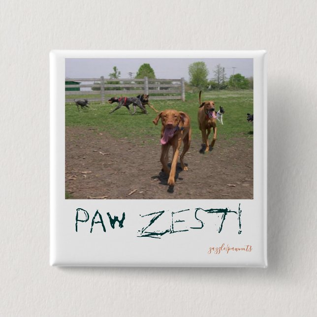 Tass zest! knapp (Framsida)
