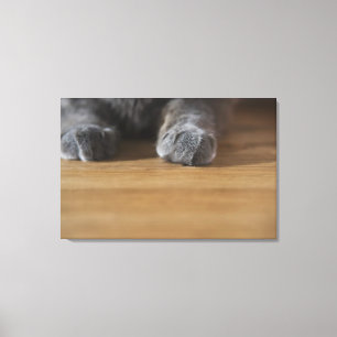 Tassar av katten canvastryck