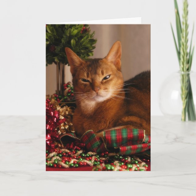 Tassar för helgdagar helgkort (Framsida)