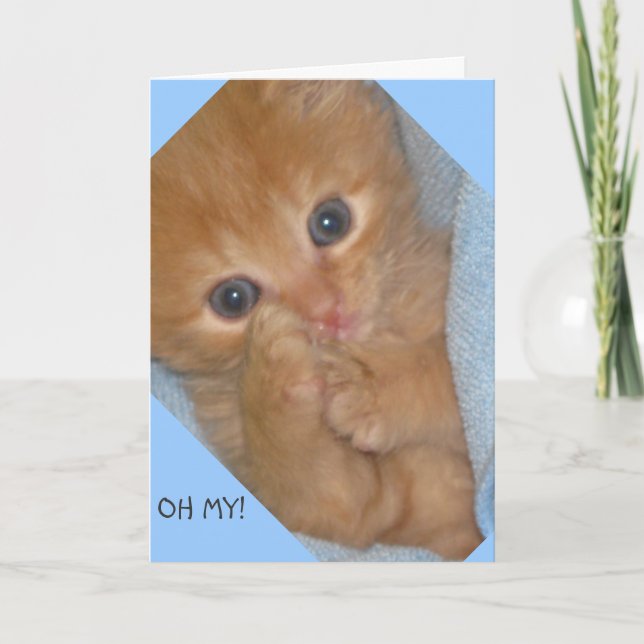 TASSAR-ITIVELY MARVELOUS BIRTHDAY GREETING CARD KORT (Framsida)