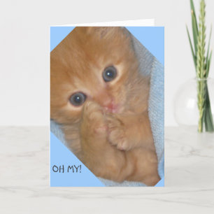 TASSAR-ITIVELY MARVELOUS BIRTHDAY GREETING CARD KORT