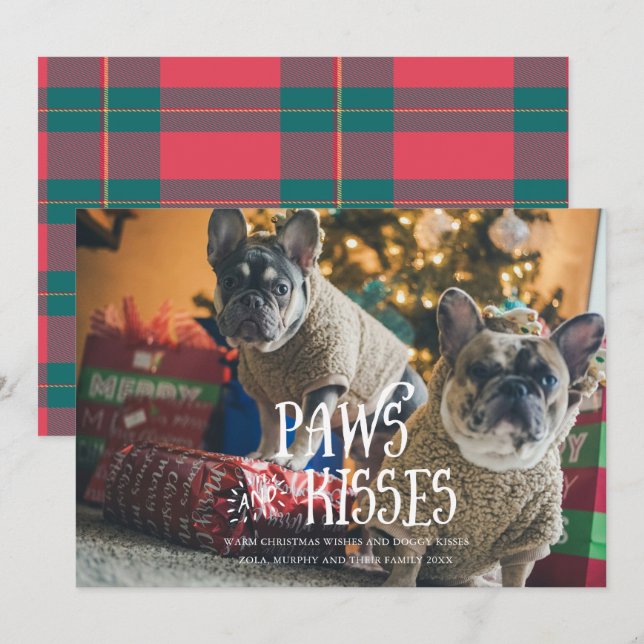 Tassar och Kisses Fånig Pet Photo Helgdag Card Inbjudningar (Fram/baksida)