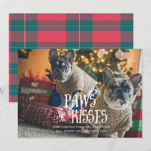 Tassar och Kisses Fånig Pet Photo Helgdag Card Inbjudningar