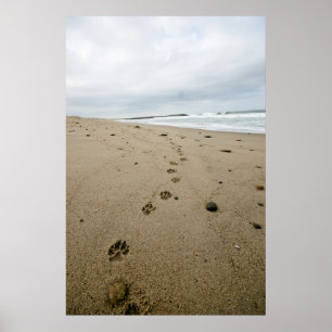 Tassavtryck Poster