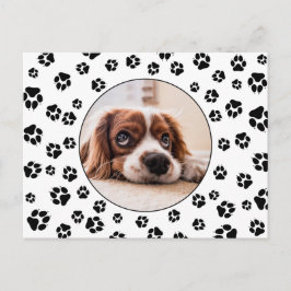 Tassavtryck Puppy Photo Vykort