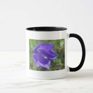 Tasse braue Glockenblume Mugg