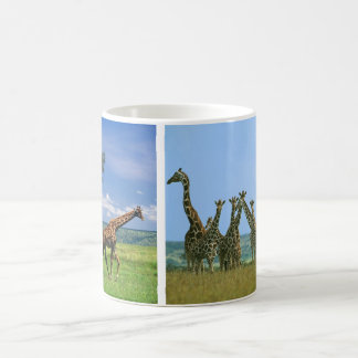 Tasse Giraffen Herde Kaffemugg
