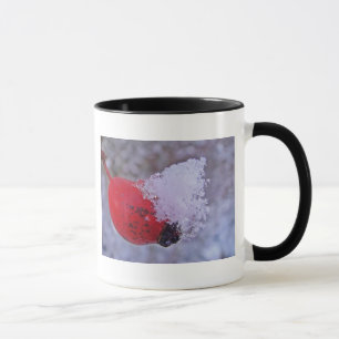 Tasse Hagebutte mit Schnehäufchen Mugg