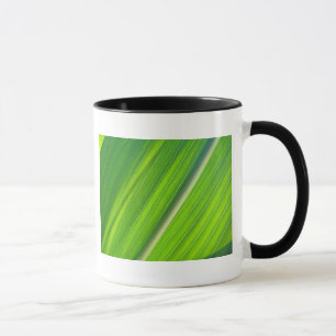 Tasse hellgrünes Maisblattdesign Mugg