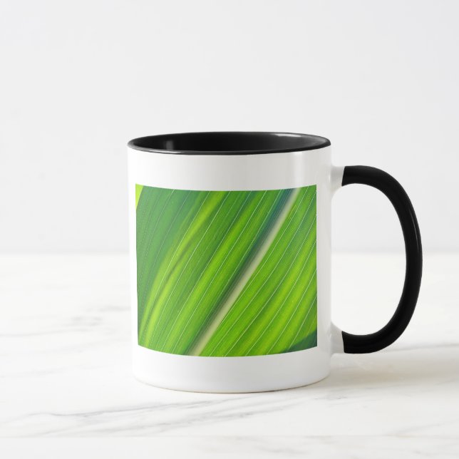Tasse hellgrünes Maisblattdesign Mugg (Höger)