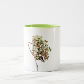 tasse Hortensia Två-Tonad Mugg