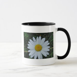 Tasse weisse Margeritenblüte Mugg