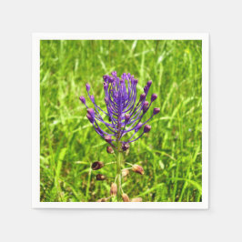 Tassel-Hyacint Pappra blöjor Pappersservett