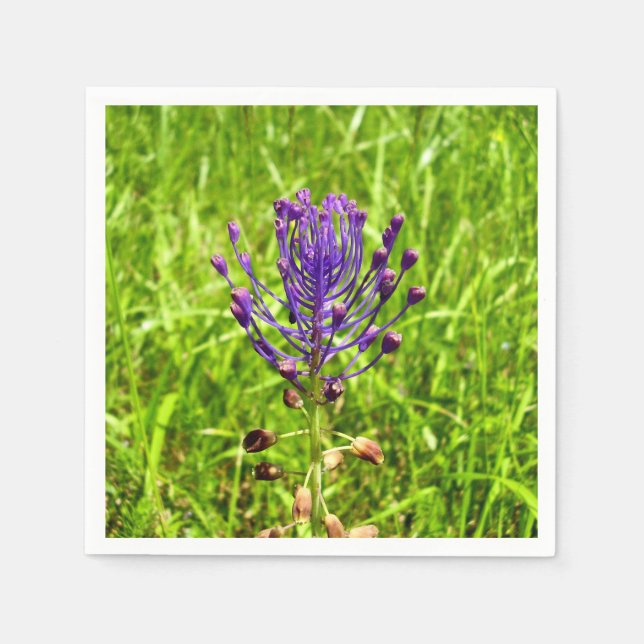 Tassel-Hyacint Pappra blöjor Pappersservett (Framsidan)