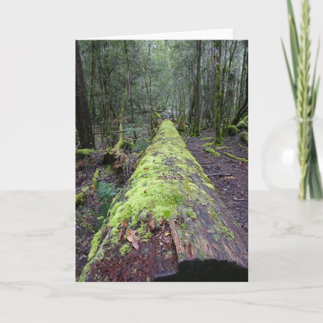 Tassie träd kort (Framsida)