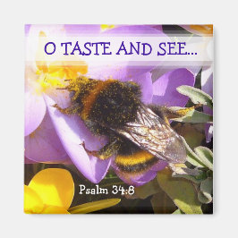 TASTE OCH SE! ~ Magnet