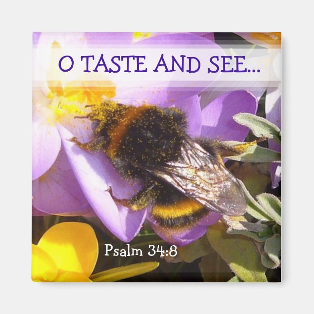 TASTE OCH SE! ~ Magnet (Framsidan)