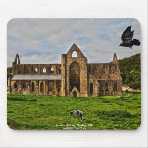 TAT Abbey Cistercian Monastery Pastoral Scene Musmatta