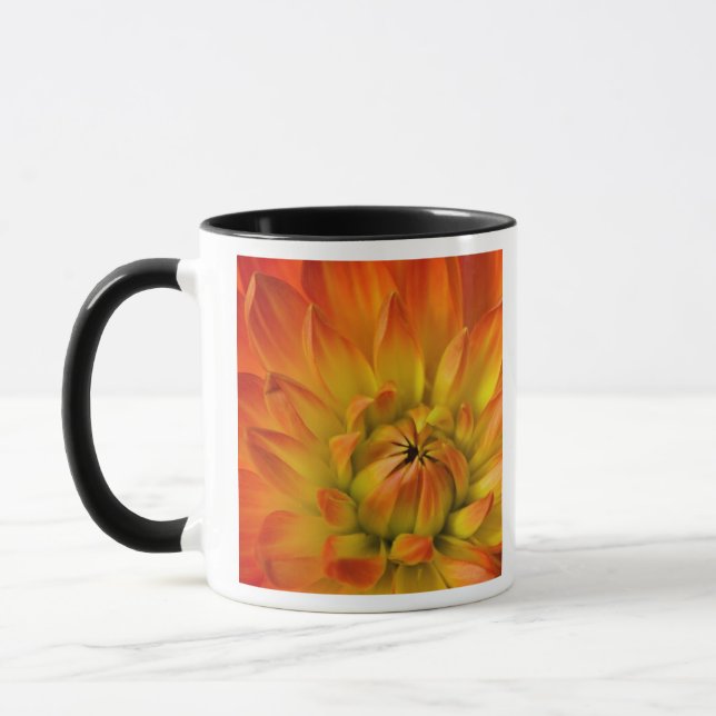 Tät i fotografier av Dalhia-blomma med den Mugg (Vänster)