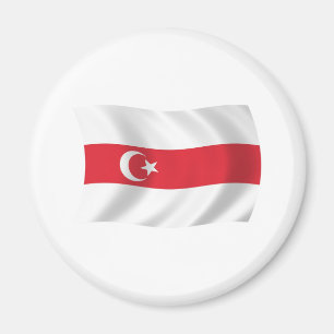 Tatarer i Vitryssland Flagga Magnet