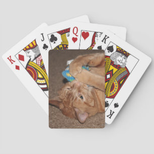 Tater Casinokort
