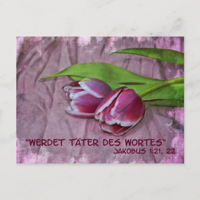 Täter des Wortes Vykort (Framsida)