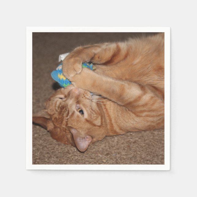 Tater Pappersservett (Framsidan)