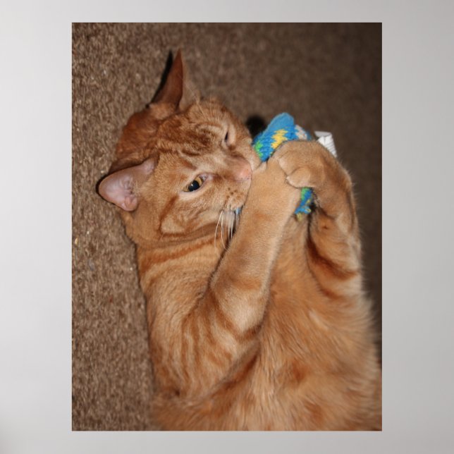 Tater Poster (Framsidan)