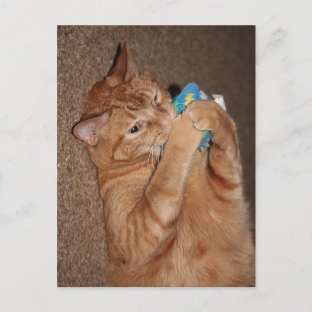 Tater Vykort (Framsida)