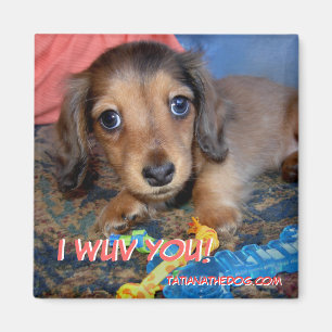 TatianaTheDog valpmagnet - I WUV DIG! Magnet