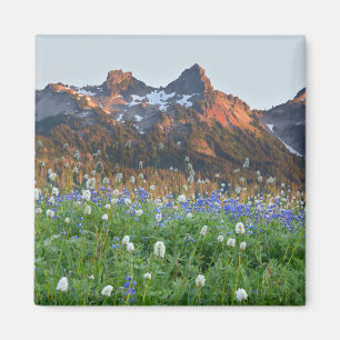 Tatoosh Range och vilda blommor Mt. Rainier Magnet