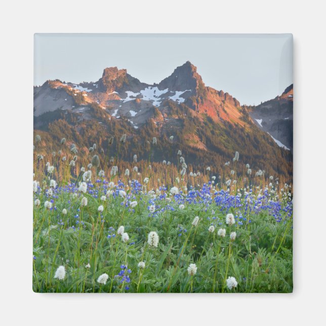 Tatoosh Range och vilda blommor | Mt. Rainier Magnet (Framsidan)