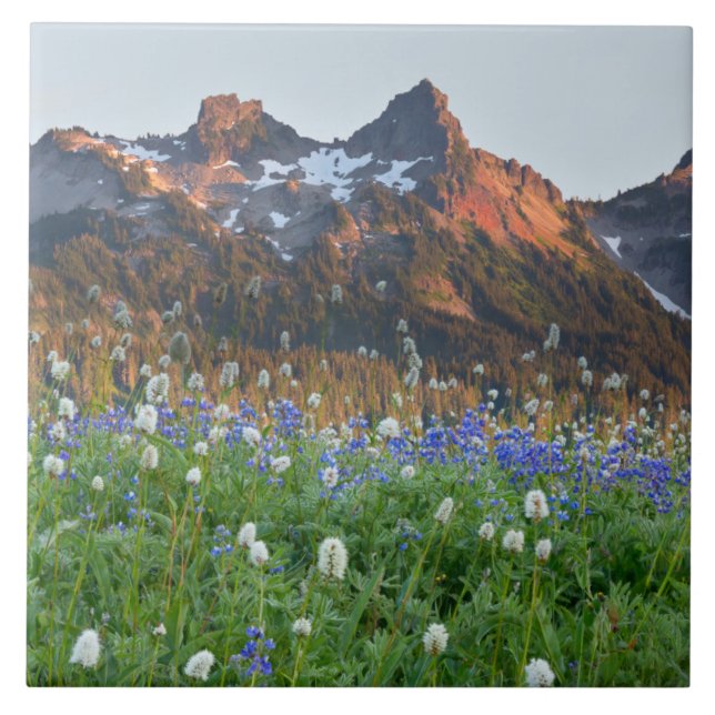Tatoosh Range och Wildblommor | Rainier Kakelplatta (Framsidan)