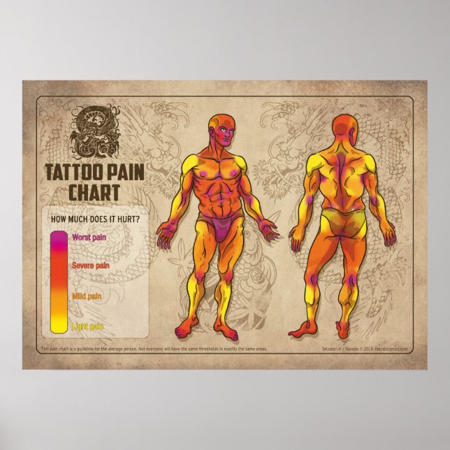 Tatotpain-diagram Poster (Framsidan)