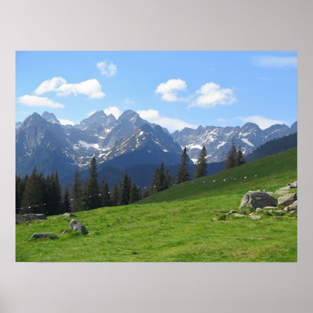 Tatras Rusinowa meadow Poster (Framsidan)