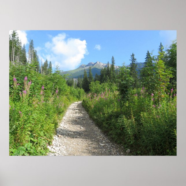 Tatras, Slovakien Poster (Framsidan)