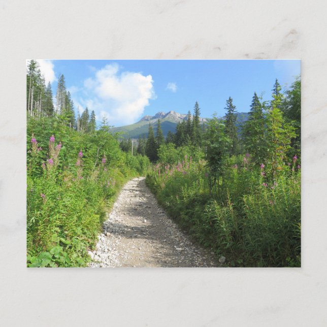 Tatras, Slovakien Vykort (Framsida)