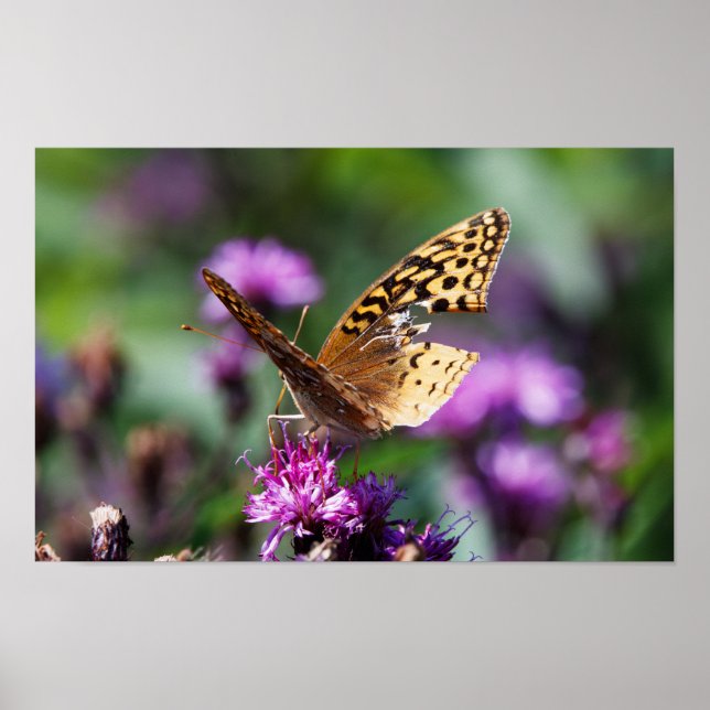 Tattered Poster (Framsidan)