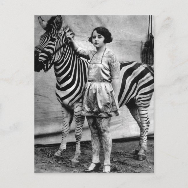 Tattooed Circus Dam och Zebra Postcard Vykort (Framsida)