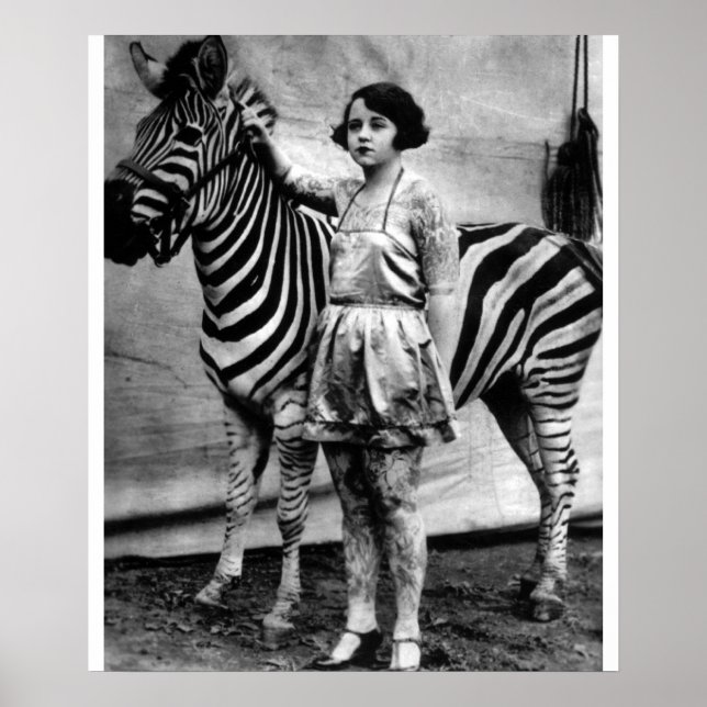 Tattooed Circus Dam och Zebra Poster (Framsidan)