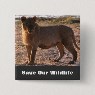 Tau Spara Vår Wildlife Knapp