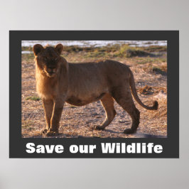 Tau Spara Vår Wildlife Poster