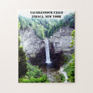 TAUGHANNOCK FALLS ITHACA NEW YORK PUSSEL