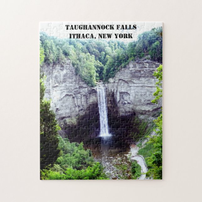 TAUGHANNOCK FALLS ITHACA NEW YORK PUSSEL (Vertikal)