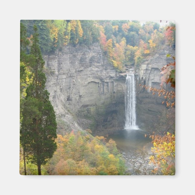 Taughannock Falls Magnet (Framsidan)